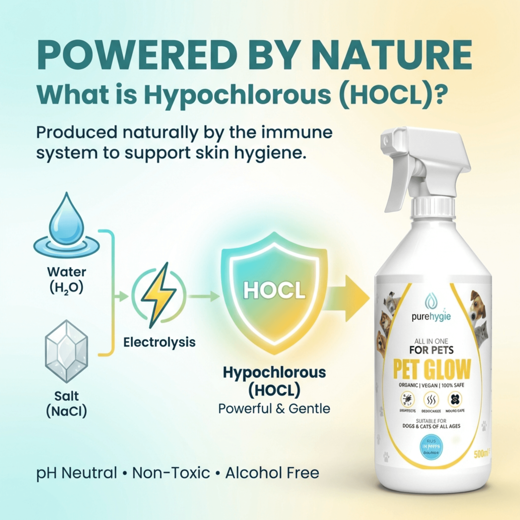 Product detail image - pixii (3)